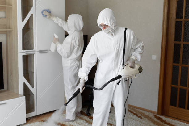 Best White Mold Remediation in Ocklawaha, FL